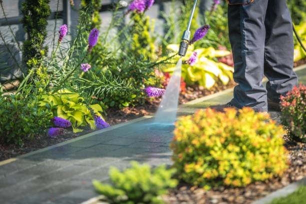 Best Patio and Deck Pressure Washing  in Rice, TX