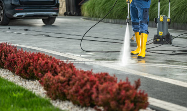 Best Roof Washing  in Rice, TX